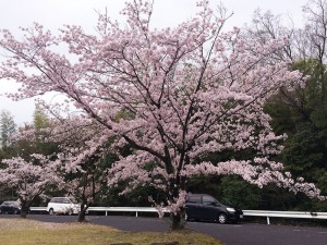IMG_1189
