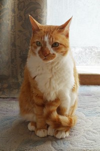 DSC01478