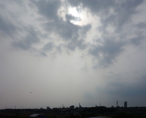 DSC01607