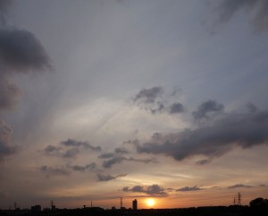 DSC01679