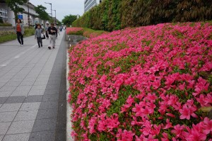 DSC01694