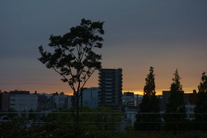 DSC01717