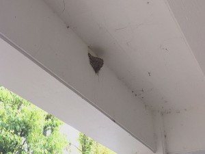 IMG_1276