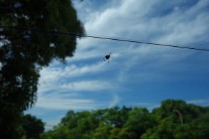 DSC02183