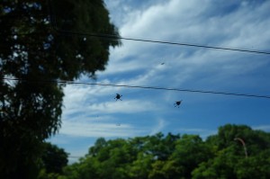 DSC02184