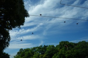 DSC02185