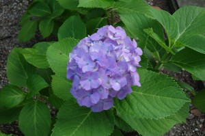 DSC02190