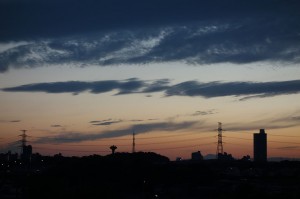 DSC02206