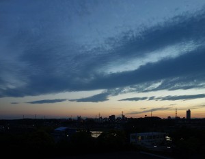 DSC02212