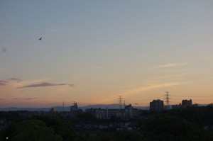 DSC02335