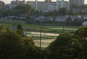 DSC02771