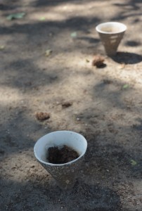 DSC_0560_00001