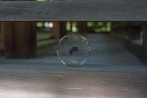 DSC_0577_00001