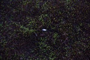 DSC_0584_00001
