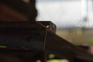 DSC_0590_00001