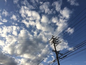 IMG_1418