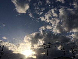 IMG_1420