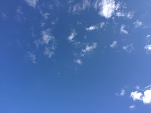 IMG_1421
