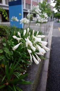 DSC02873