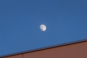 DSC02890