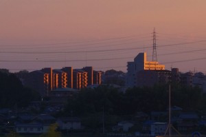 DSC02893
