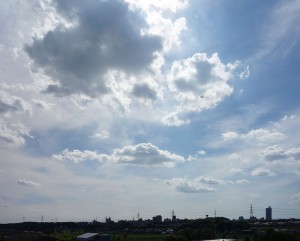 DSC02904