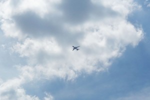 DSC02904b