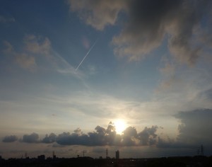 DSC03029