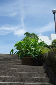 DSC03038