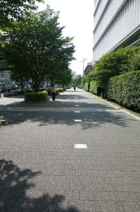 DSC03042