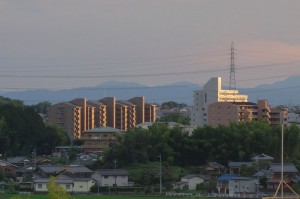 DSC03146