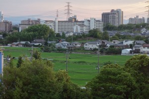 DSC03147