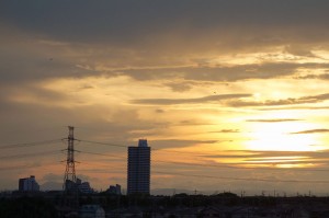 DSC03152