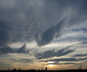 DSC03177