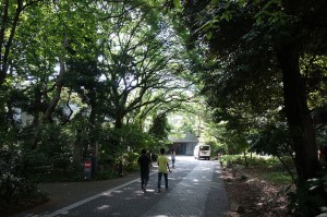 DSC03300