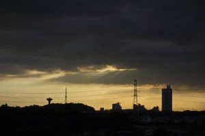 DSC03509