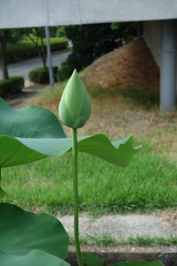 DSC03550