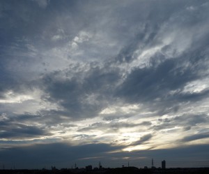 DSC03877