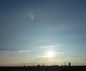 DSC03895