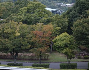 DSC03946