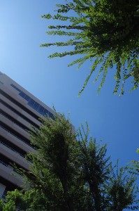 DSC03977