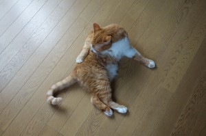 DSC04012