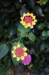 DSC04022
