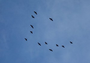 DSC04090