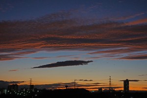 DSC04174