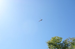 DSC04319