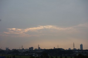 DSC04338