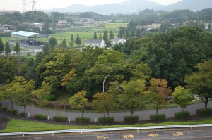 DSC04342