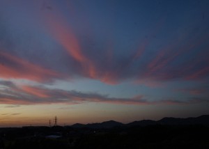DSC04457