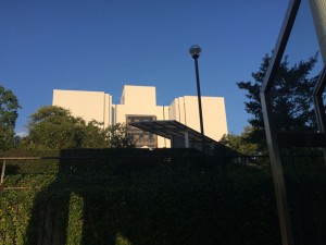 IMG_1656